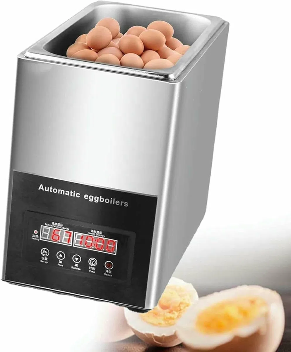 Cuiseur à œufs électrique, cuiseur à œufs Rapide avec arrêt Automatique, cuiseur à œufs Commercial à Source Chaude