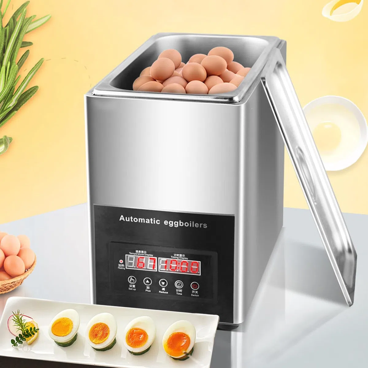 Cuiseur à œufs Multifonction 800 W, pocheuse et Machine à omelettes électrique, très Grande capacité pour 50 œufs, arrêt Automatique en Acier Inoxydable