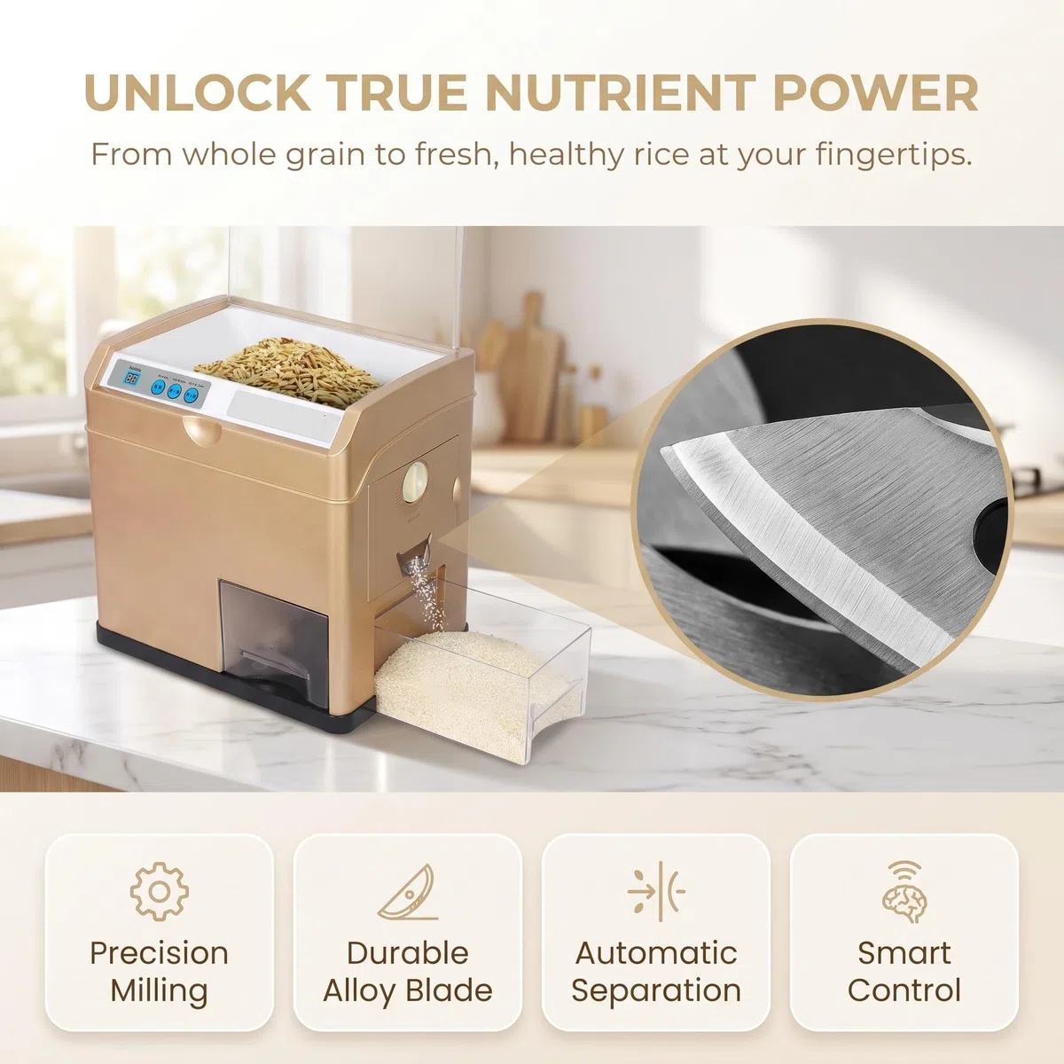 Machine Électrique De Décorticage Et Dégrenage du Riz, Séparateur De Son De Riz Automatique De 500 W, Décortiqueuse De Céréales De Blé De 30 Kg/h, Vitesse Réglable, pour Riz Brun Clair Et Riz